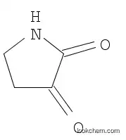 Molecular Structure of 36069-76-8 (Pyrrolidine-2,3-dione)